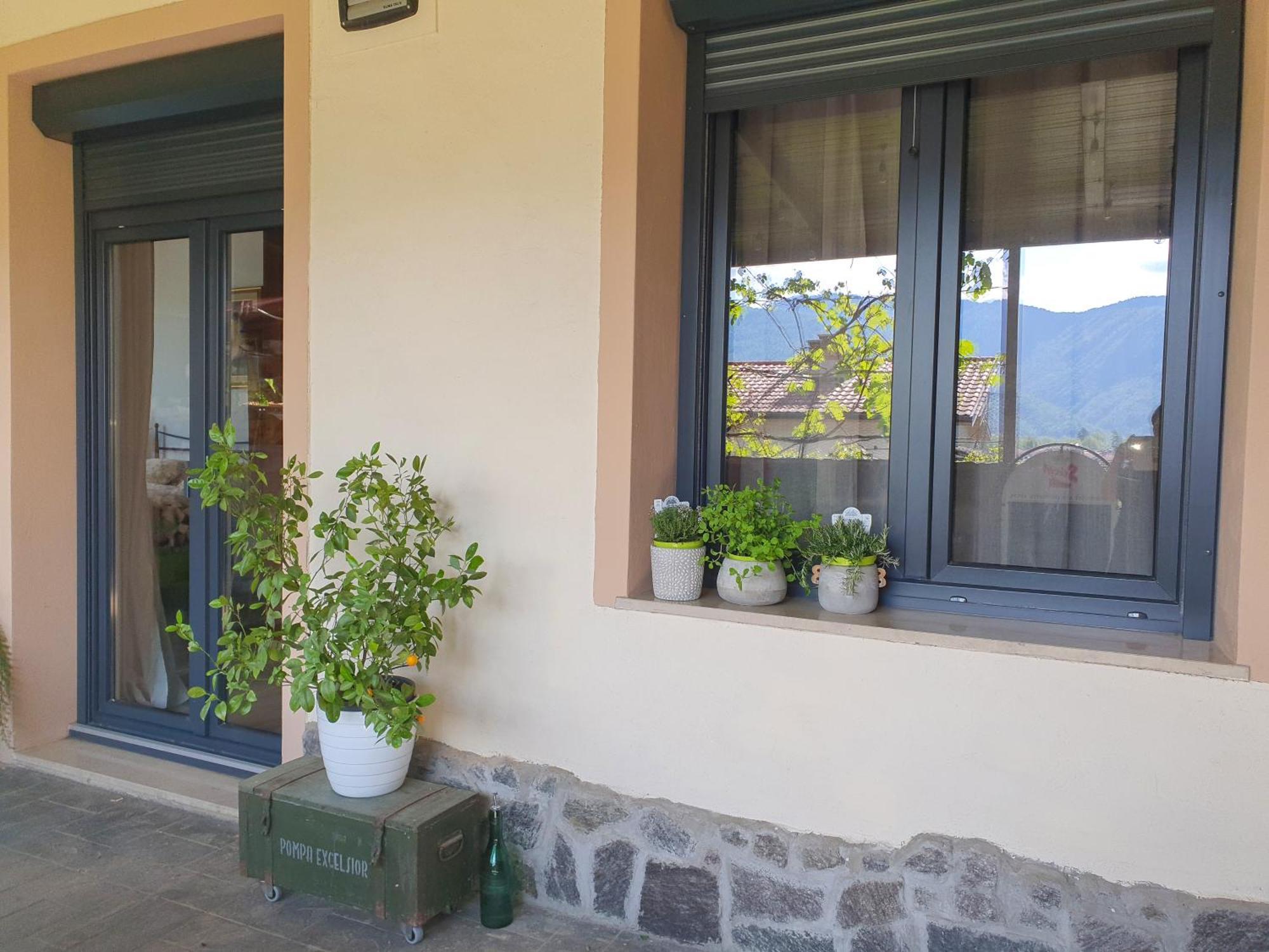 Apartment With Terrace Nona Pavla Tolmin Eksteriør billede